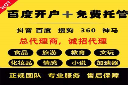 sem代运营机构成功案例：打造高效广告投放策略